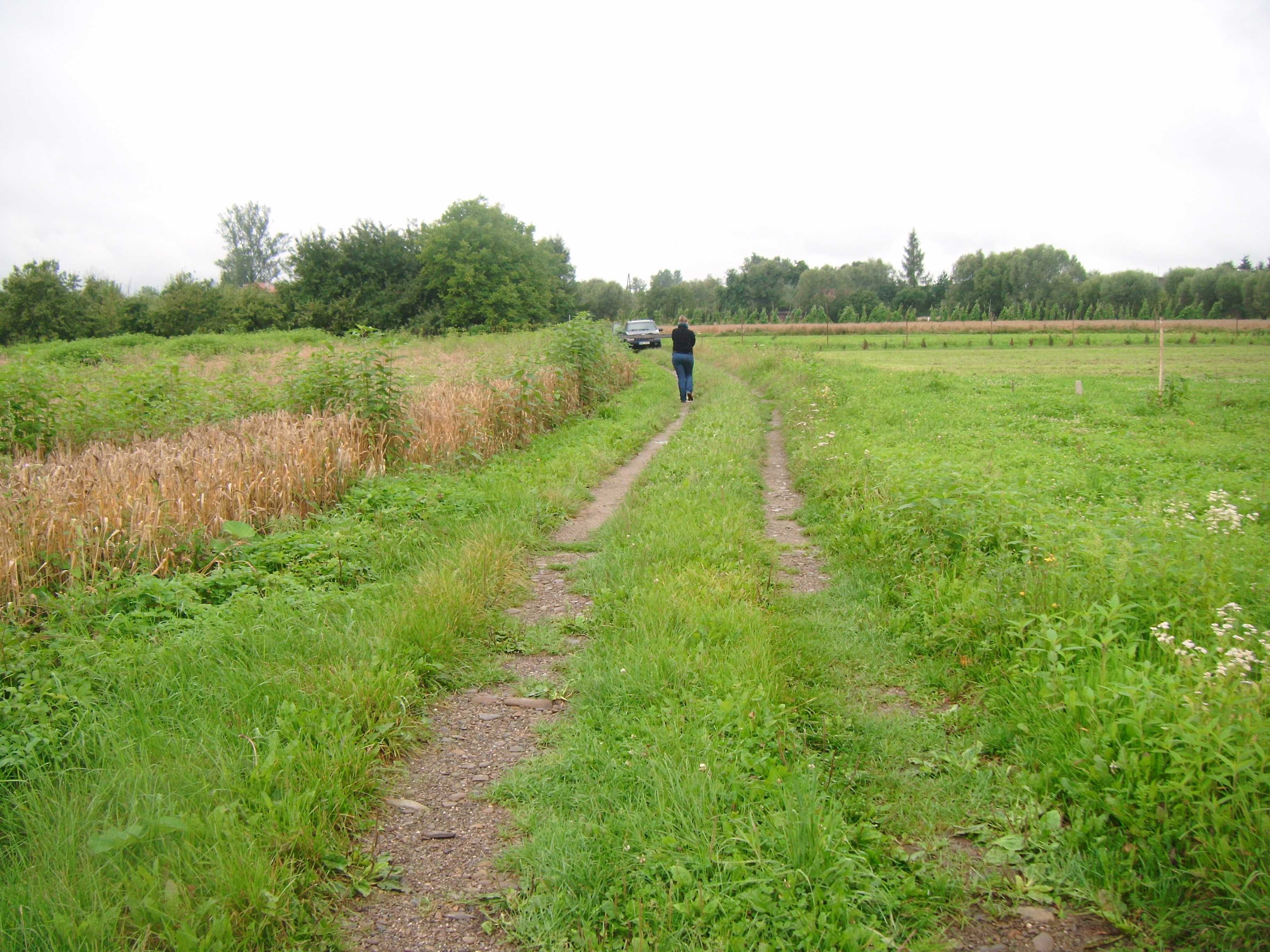 Dobczyce -Niezdów 6600 m2