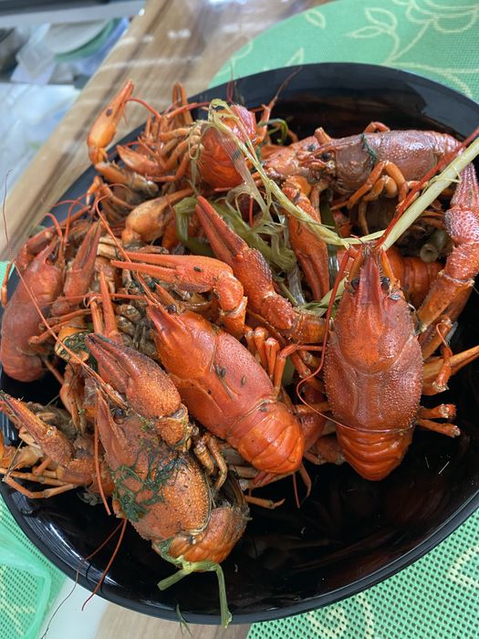 Продам живі річні раки