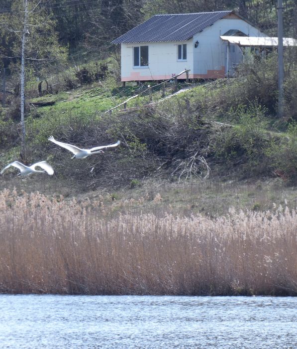 Рибацькі будинки на озері. Баня,чан, с. Киданівка, Богуславський р-н