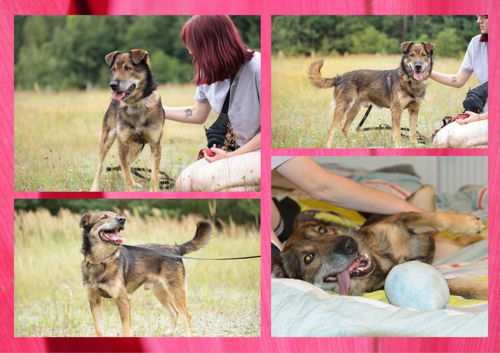 GAZIO - marzy o nowym domu i rodzinie :)