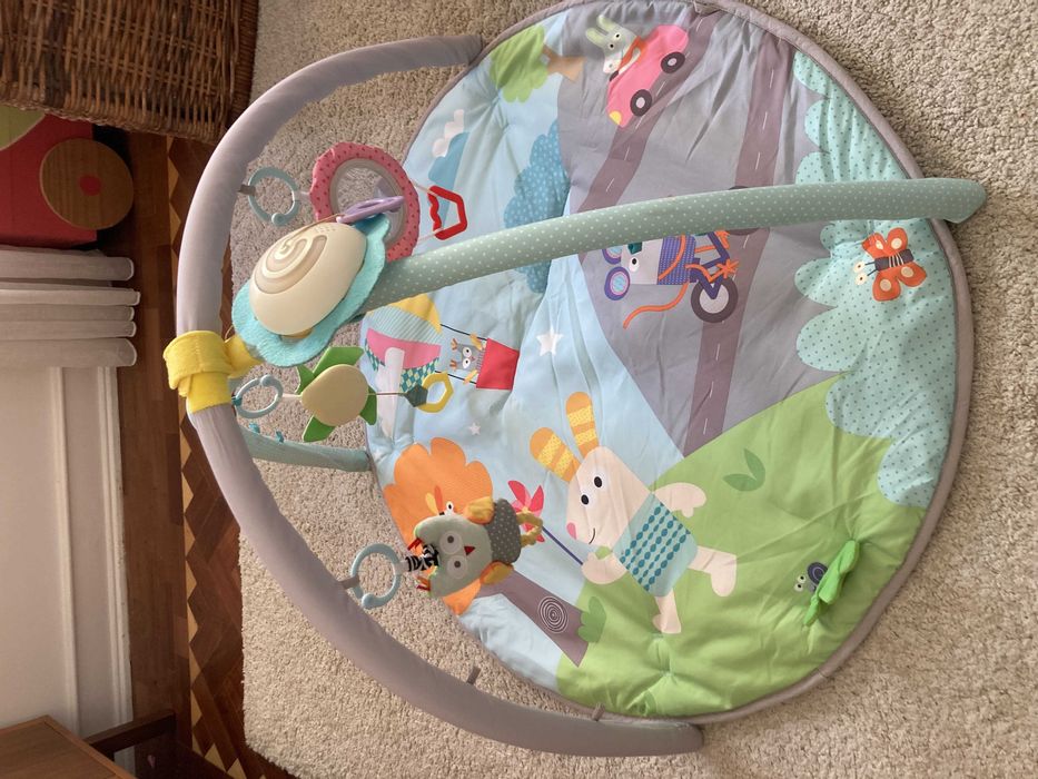 Tapete de Atividades Taf Toys