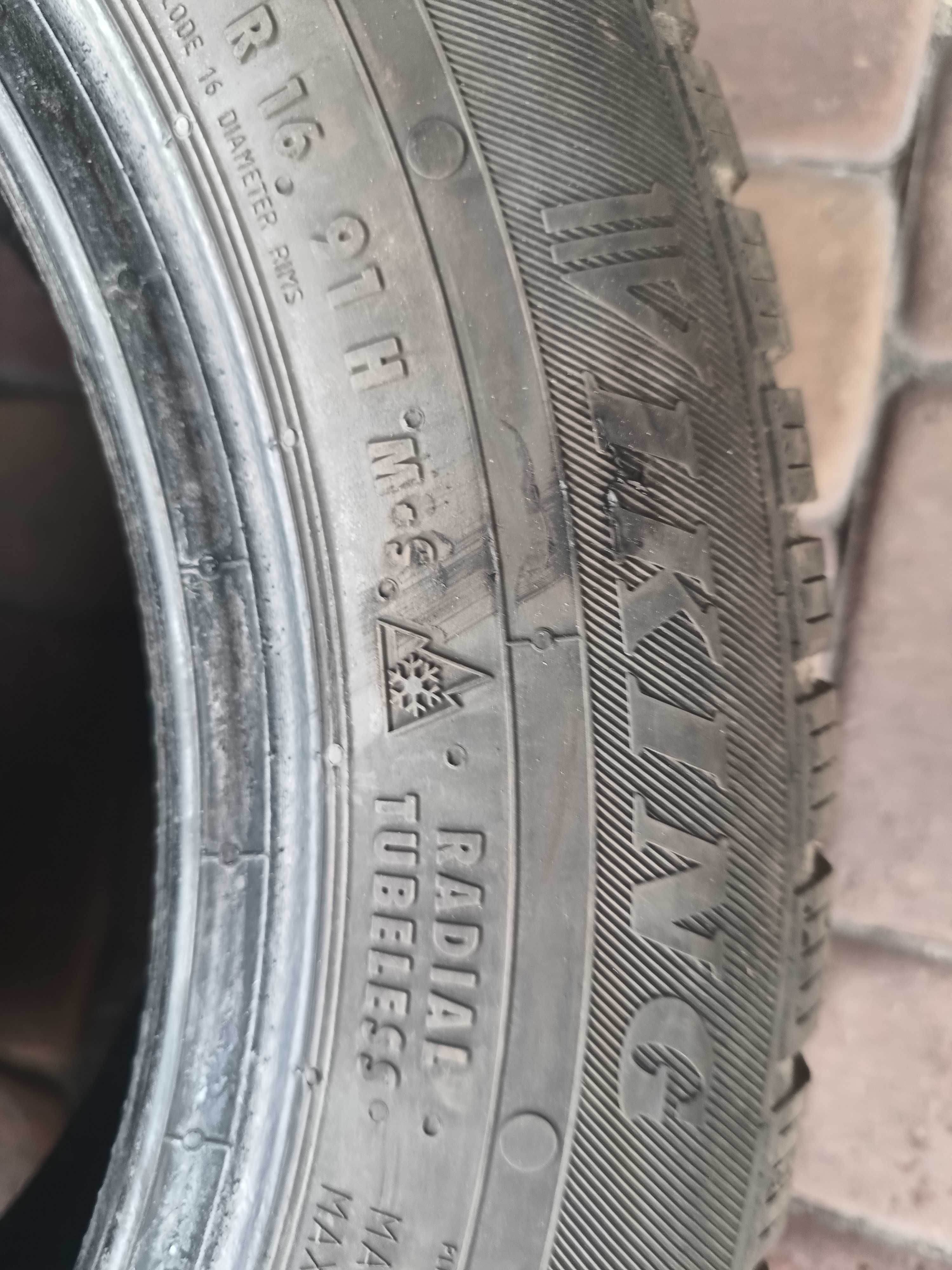 205/55R16 Viking Wintech opony