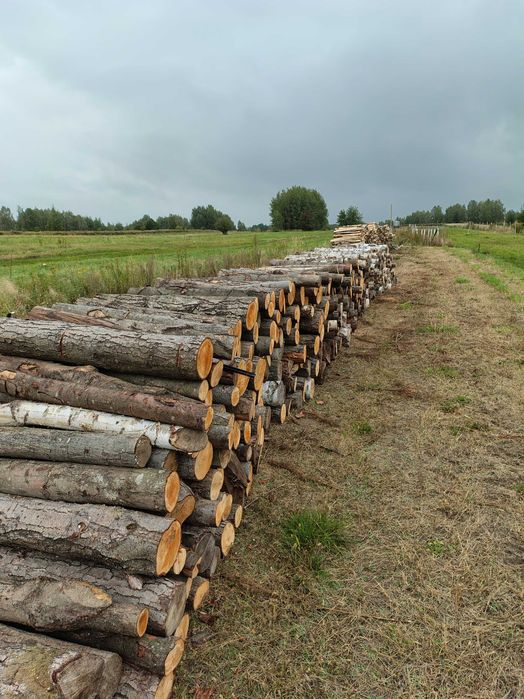 Drewno opałowe brzoza i olcha