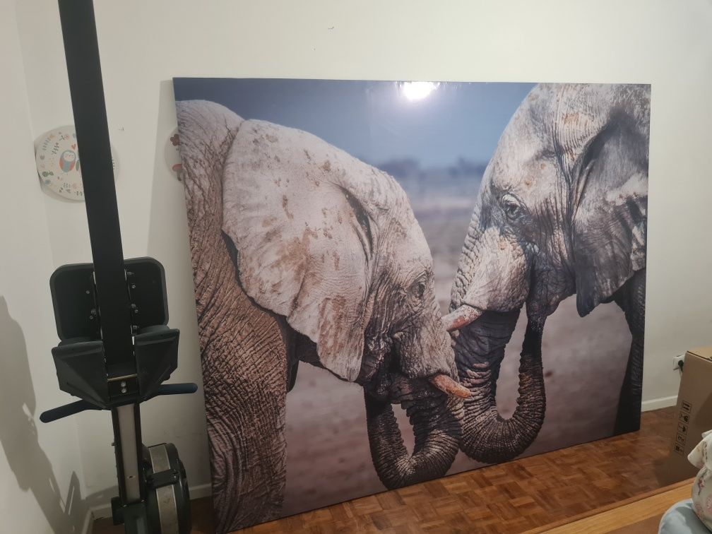 Quadro Grande de Elefante
