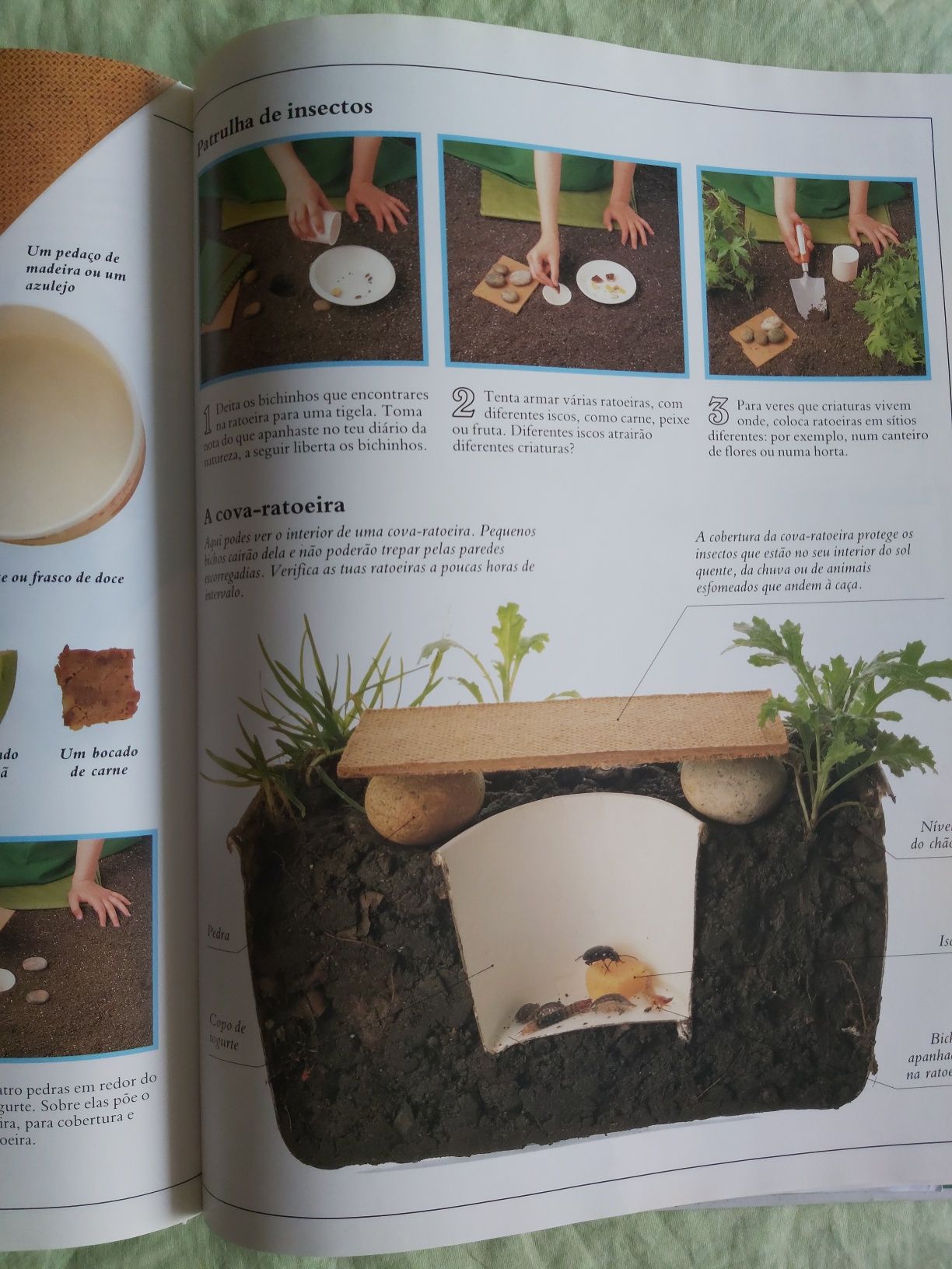O meu primeiro livro da natureza