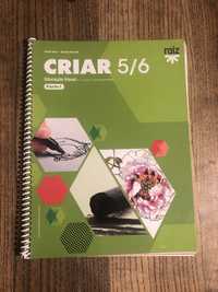 Manual Ed. Visual 5ano - Criar 5/6
