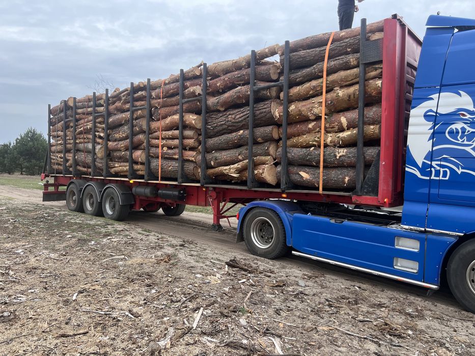 Продам дрова різних порід