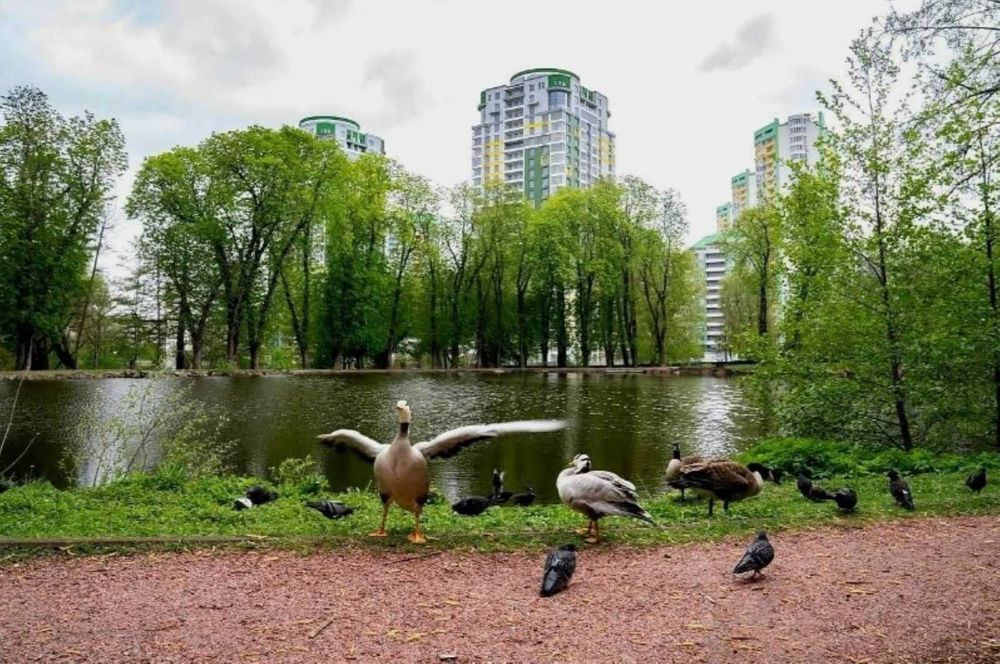 Оренда 2к квартири ЖК Паркове місто, Екофлоу, власник, без %