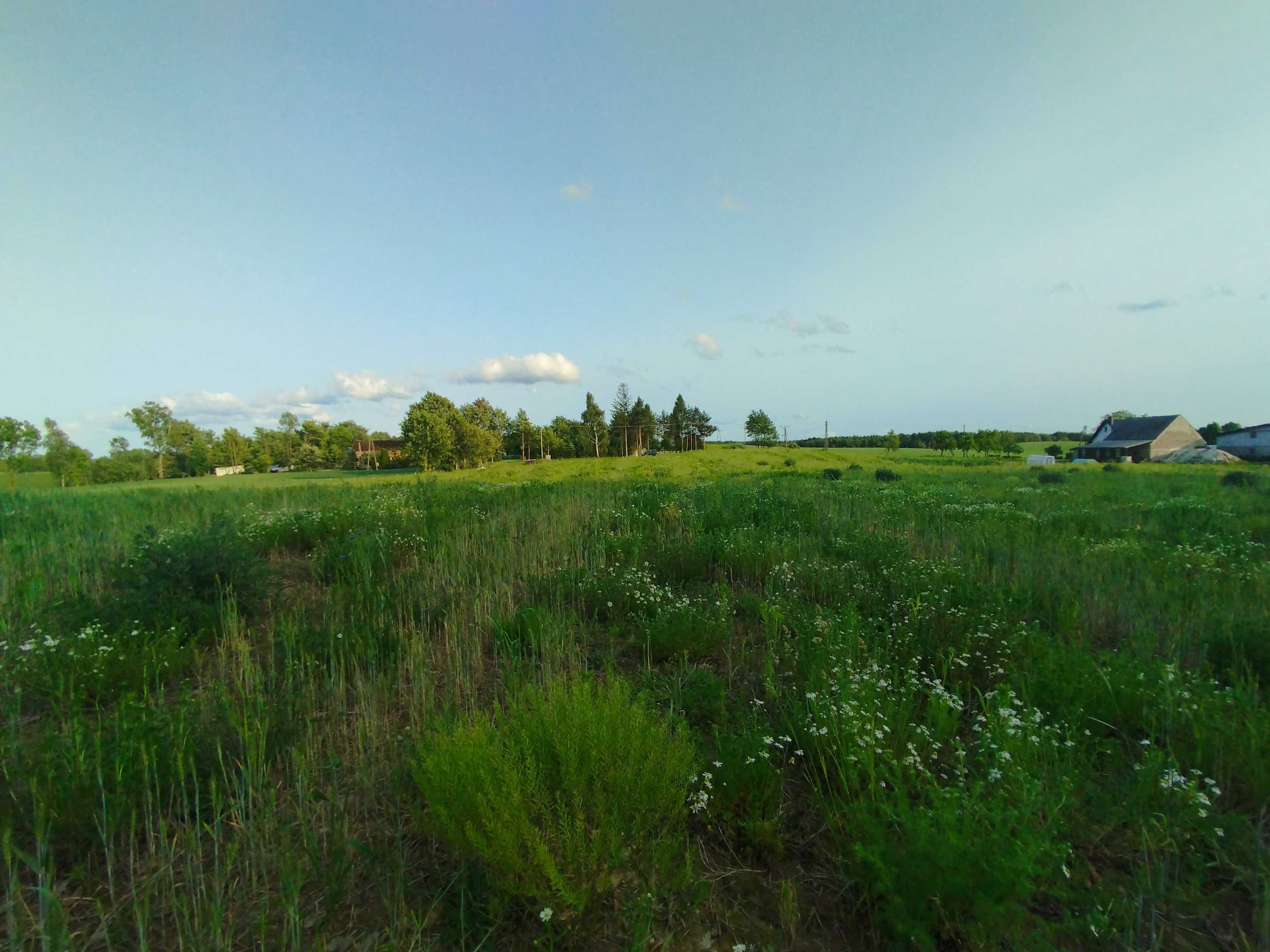 Działki budowlane w sąsiedztwie lasu od 10 do 20ar