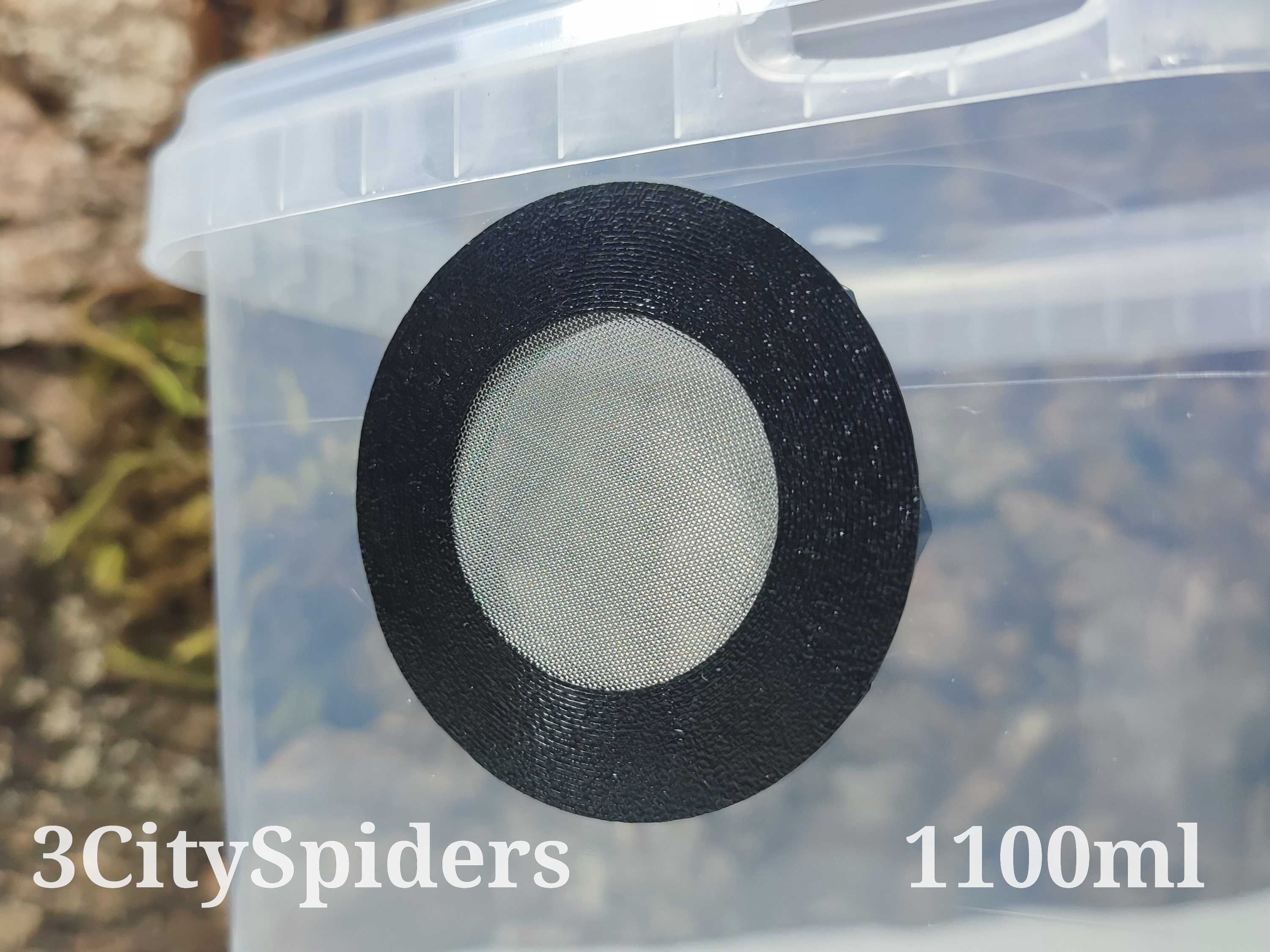 Pojemnik hodowlany dla pająka z gotową wentylacją (3CitySpiders)