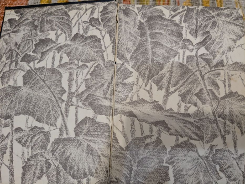 А.К. Кощеев Дикорастущие съедобные растения в нашем питании