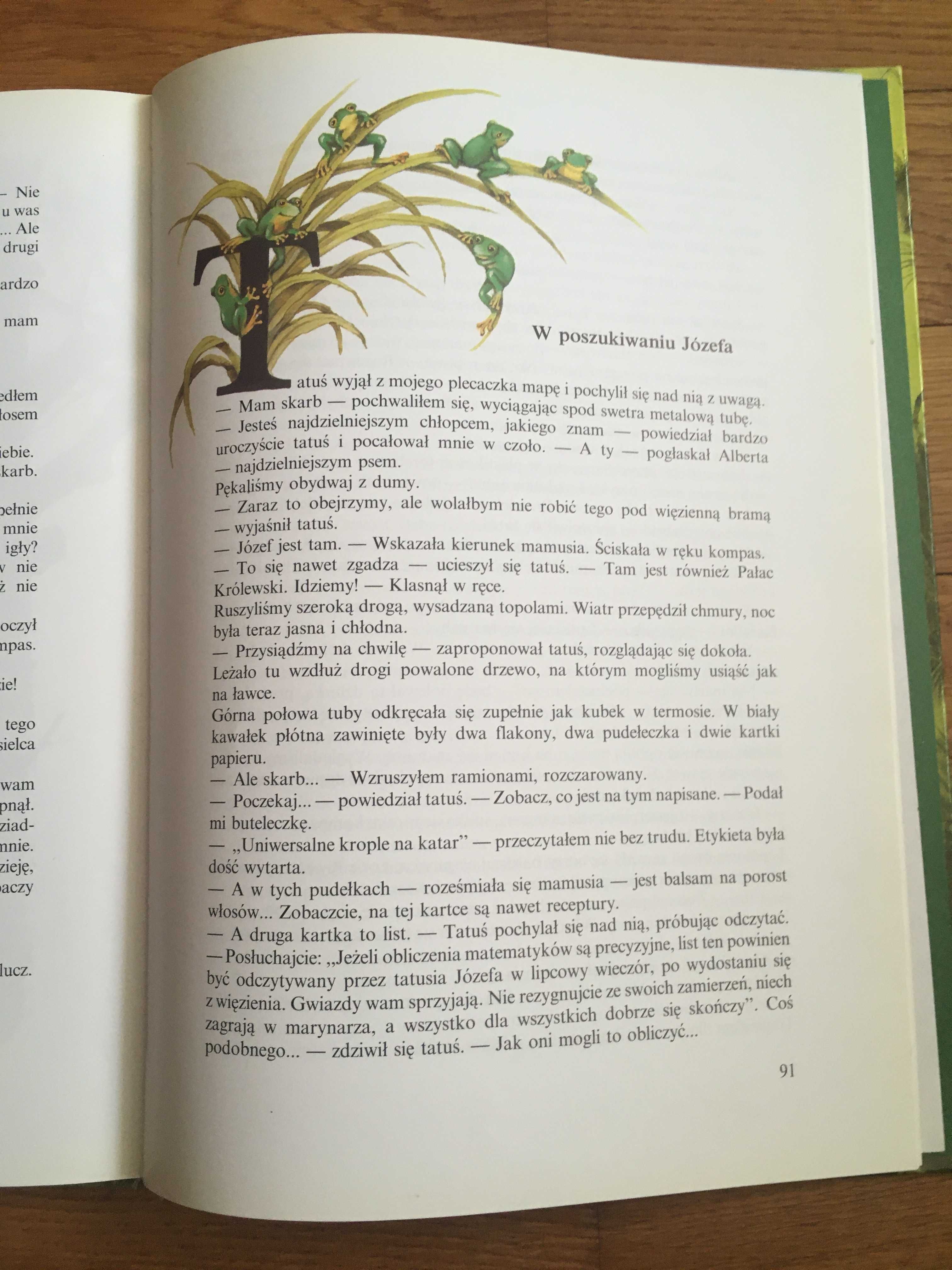 Koniec świata i poziomki Anna Onichimowska