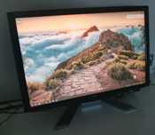Монитор Acer P243w