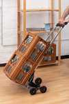 Wozek transportowy schodowy meister