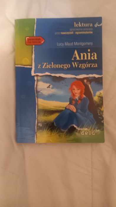 Ania z Zielonego wzgórza, nowa