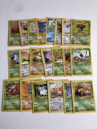 Cartas Pokémon Jungle