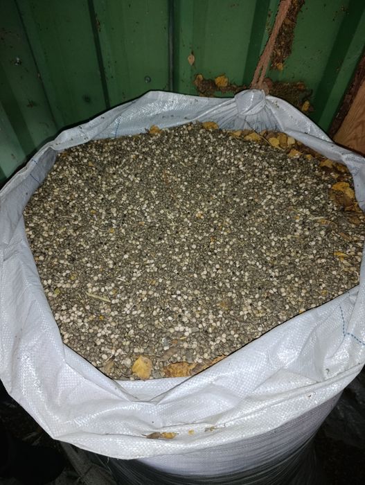 Sprzedam łubin paszowy slodki