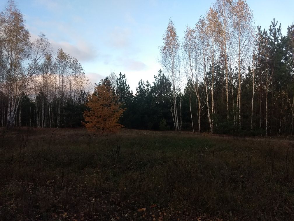 Земельна ділянка с. Дружня, Бучанського району, Київської області