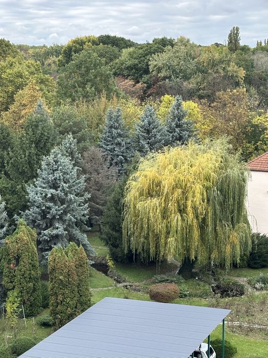 Продаж 1к квартири з видом на парк