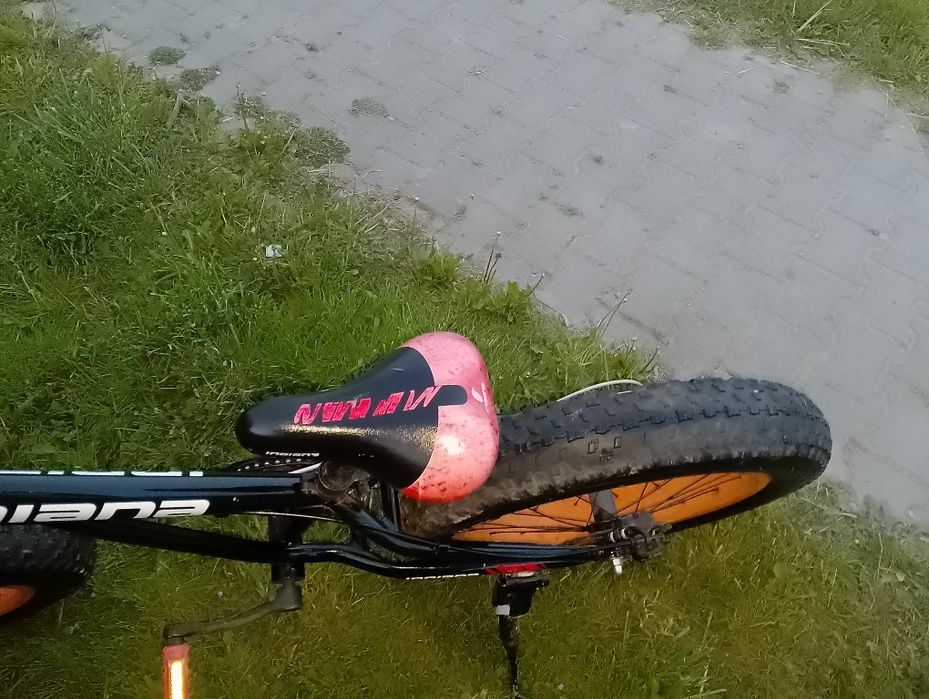 Rower FAT bike Indiana 20 cali
