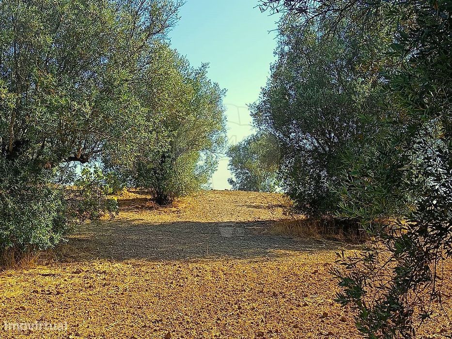 Terreno  para venda