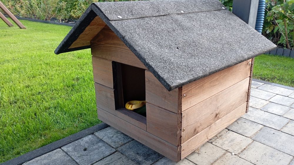 Nowa buda dla pieska psa