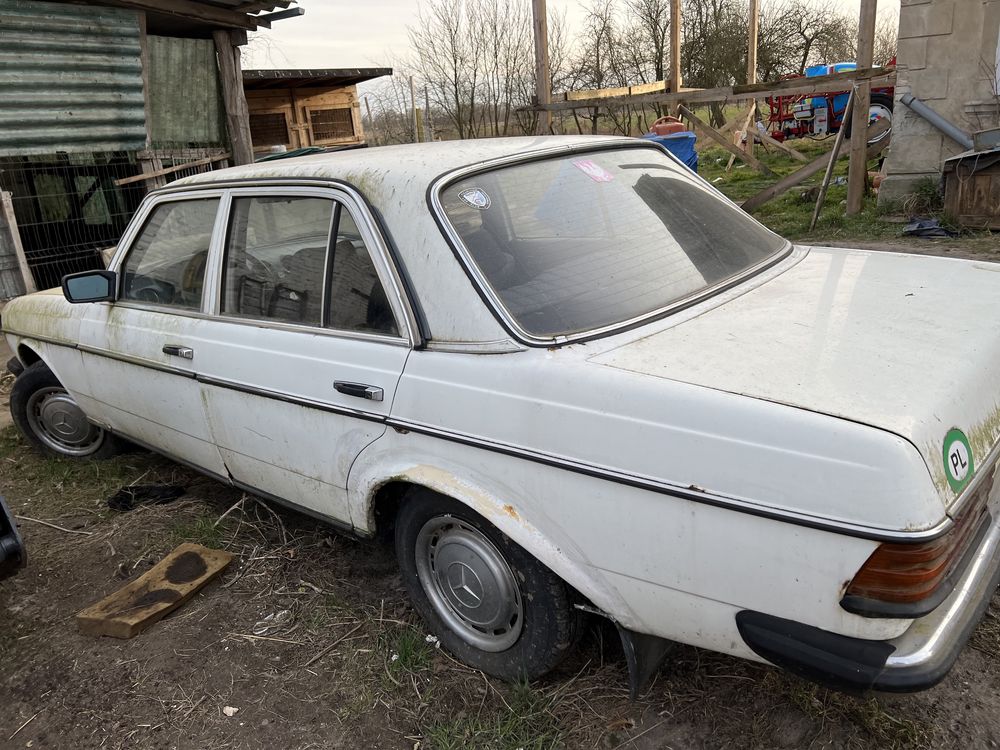 Mercedes W123 ,1981r