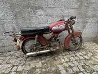 Sachs Lebre para venda
