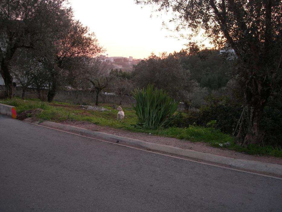 Vendo terreno urbano junto à Solum, Coimbra, para construção.