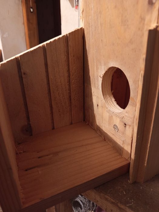 Budka lęgowa dla wiewiórki, dudka.