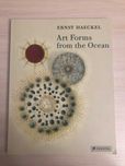 Art Forms from the Ocean: The Radiolarian Prints of Ernst Haeckel
