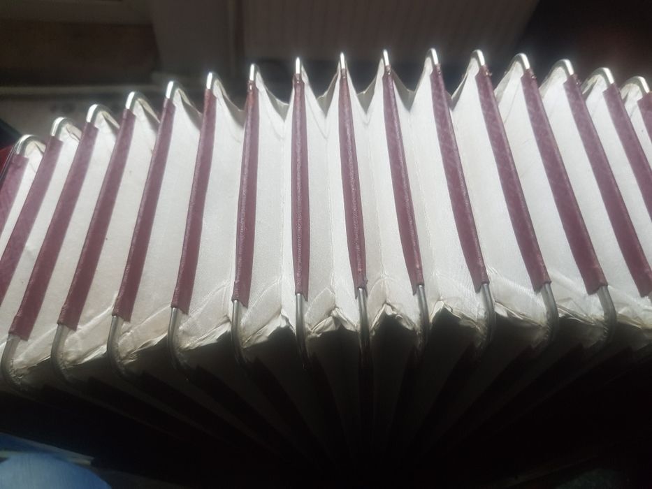 Barcarole акордеон. 120 басов. 11 рег. Немец.Отличное состояние. Чехол