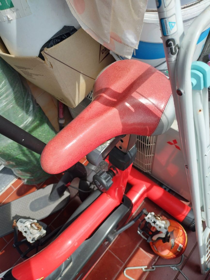 Bicicleta estática