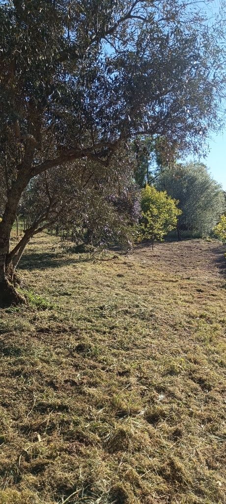 Terreno com 2,500m2 aldeia de santa Margarida castelo branco
