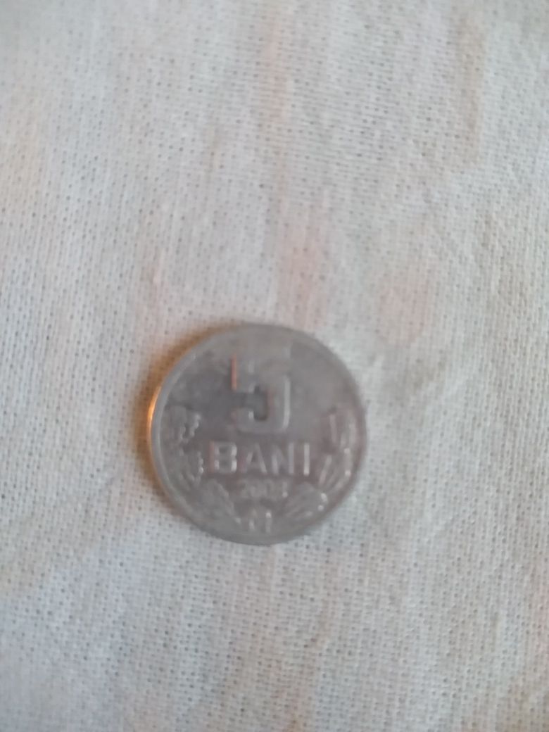Монета 5 бани 2008 года