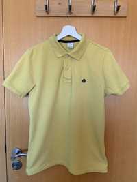 Camisa Polo Springfiled