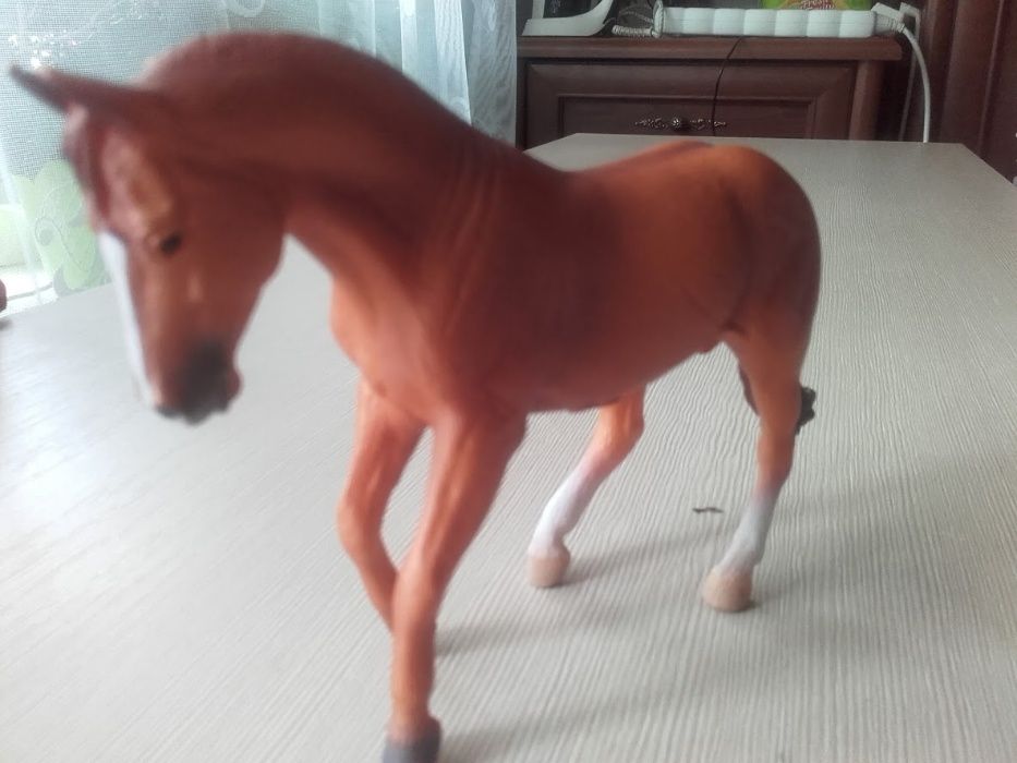 Collecta-ogier rasy Australian Stock Horse