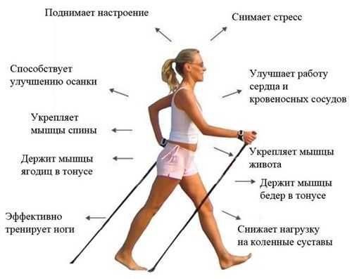 Палиці для скандинавської ходьби Tramp Fitness