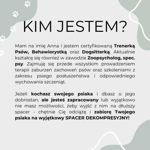 Wyprowadzę Twojego psiaka na WYJĄTKOWY spacer! (Dogsitter, Petsitter)