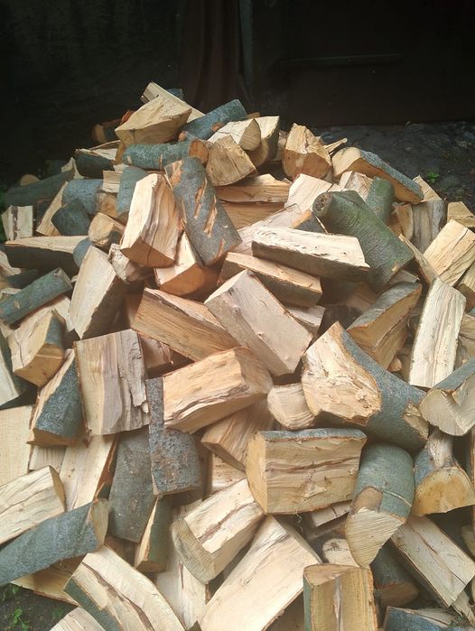 Sprzedam drewno kominkowe.