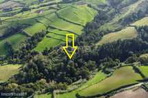 Terreno composto por mata com 13420m2