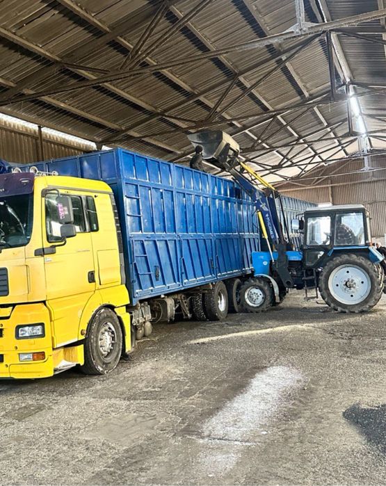 Лушпиння соняшника лузга подсолнечника