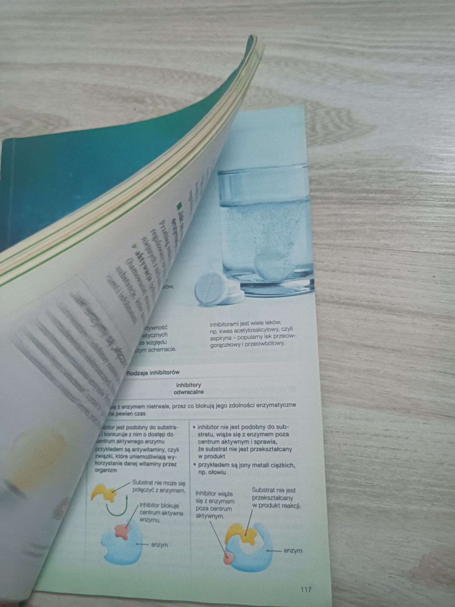 biologia na czasie 1