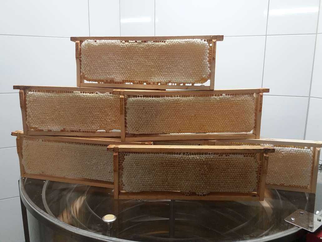 Miód Nektarowo-Spadziowy z własnej pasieki 1,2 kg