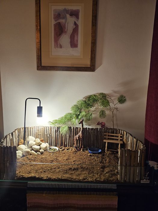 Terrario para animais