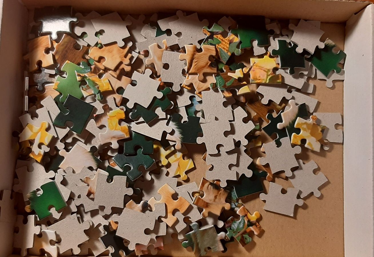 Пазлы Castorland Puzzle