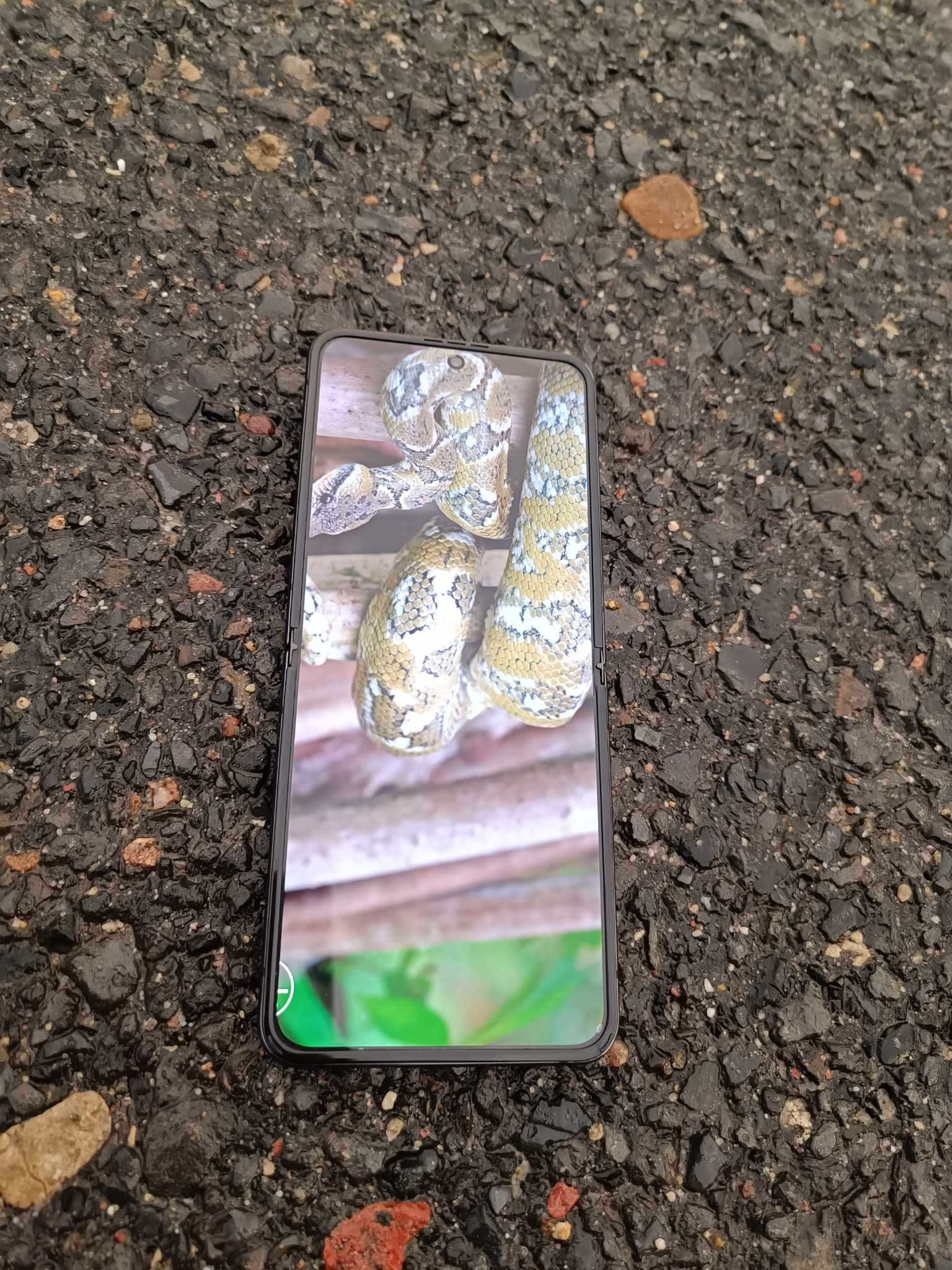 Samsung galaxy z flip 4 zadbany!
