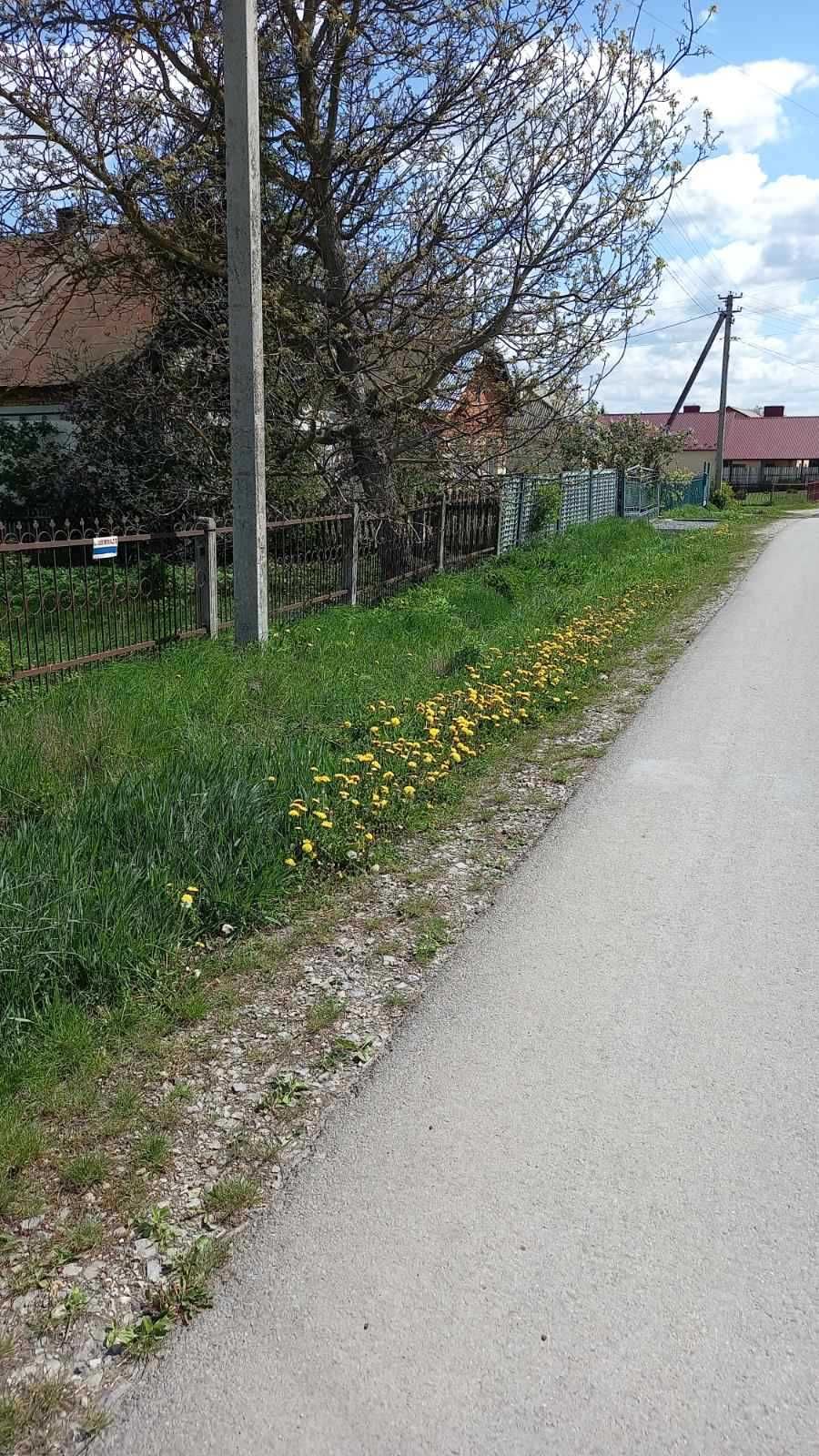 Земельна ділянка під забудову с. Великі Гаї, Тернопільська обл