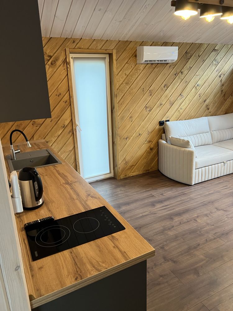 Оренда будинка під Києвом 30хв басейн ліс Snoviya_House