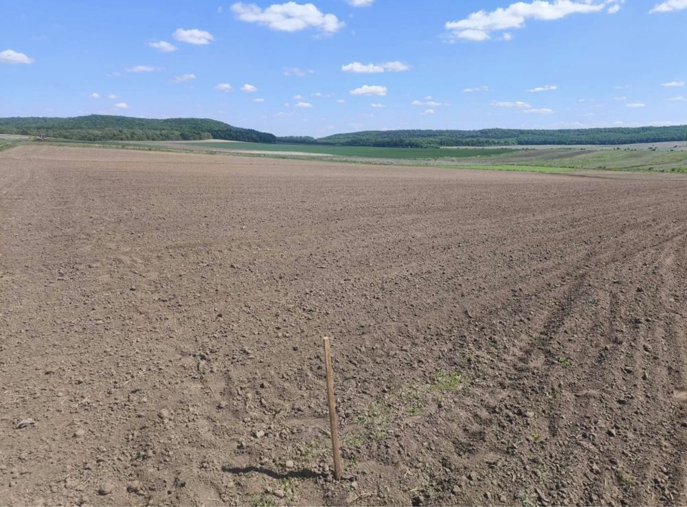 Продам ділянку 38 сот Корнин